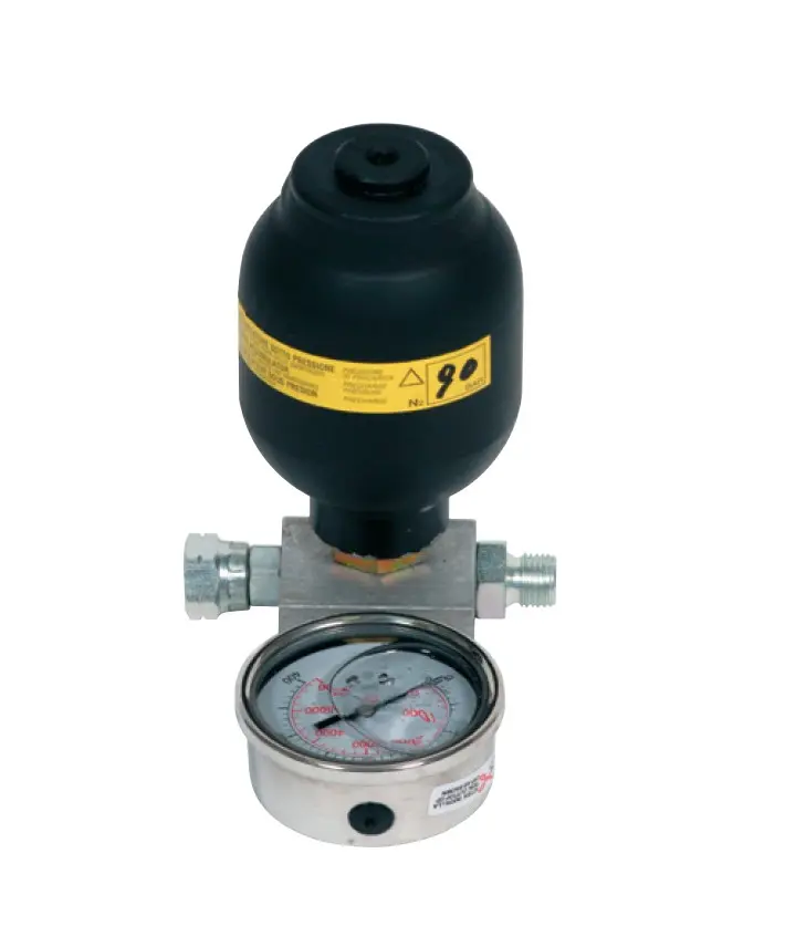 [440.400.800] KIT ANTIPULSACIONES MB ELECTRICAS CON MANOMETRO VS-10000